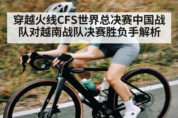 穿越火线CFS世界总决赛中国战队对越南战队决赛胜负手解析