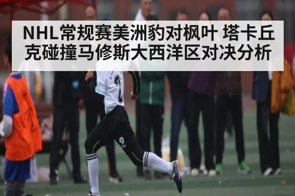 NHL常规赛美洲豹对枫叶 塔卡丘克碰撞马修斯大西洋区对决分析