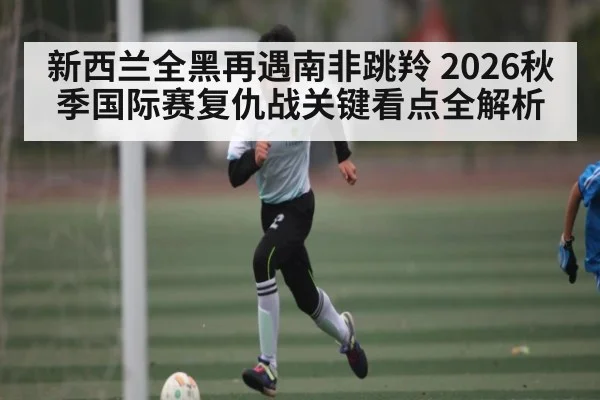 新西兰全黑再遇南非跳羚 2026秋季国际赛复仇战关键看点全解析